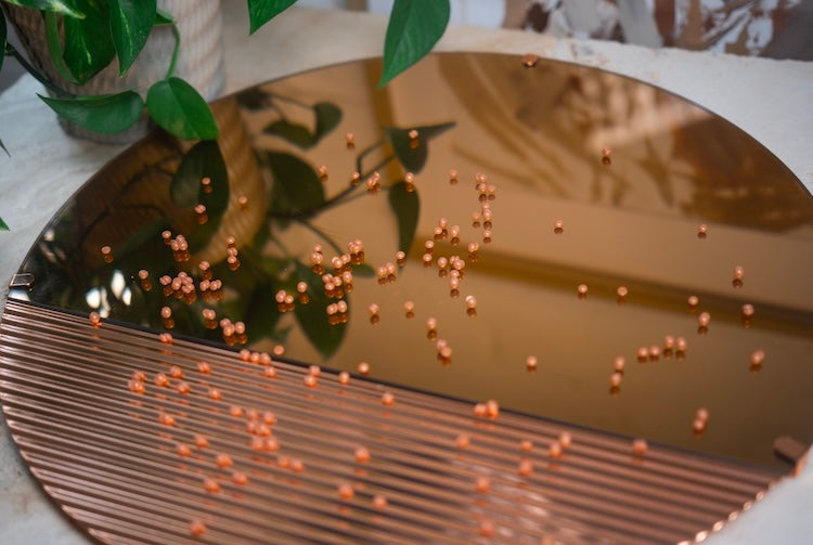 How To Promote Your New Waxing Business